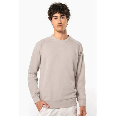 Men's organic cotton crew neck raglan sleeve sweatshirt